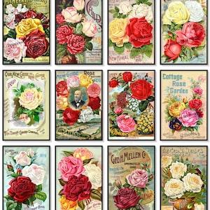 Set of 12 Prints Vintage Seed Catalogue Covers Cottage Roses  Shabby Chic Rose Art