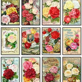 Set of 12 Prints Vintage Seed Catalogue Covers Cottage Roses  Shabby Chic Rose Art