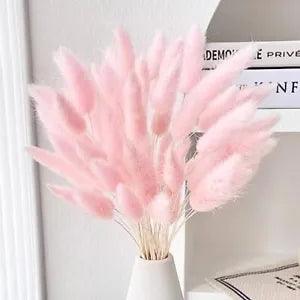 60PCS Rabbit Tail Grass Dried Flowers Dried Natural Floral Light Pink