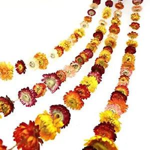 6.6ft Dried Flowers Garland Real Daisy Sunflower Garlands Dry Flower Chain