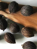 15 Black Foxtail Pods Dried Decor Floral Crafts Potpourri Gourds Basket Supplies