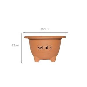 Neofinetia falcata clay pot 4" short (Set of 5)