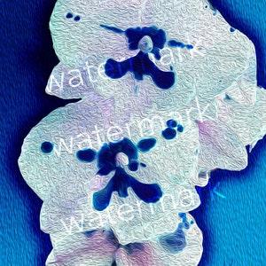 Orchid Ice