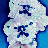 Orchid Ice