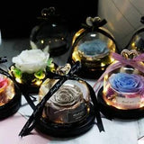 Natural Preserved Flower Eternal Rose Home Decoration With Lights Wedding Gift