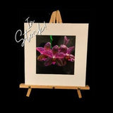 In Stock!  Orchid - Color 8" x 8" (12"x12" Matted) Fine Art Print of Purple Orchid Plant. On Metallic Paper. Fast Ship, Housewarming Gift.