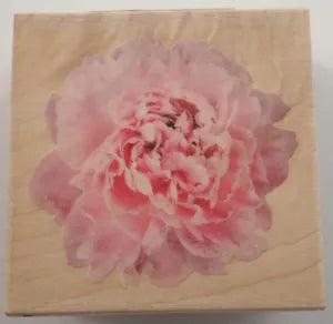 Inkadinkado Carnation Flower Bloom Garden Botanical Rubber Stamp #60-00619