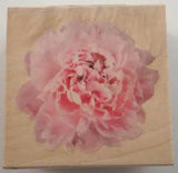 Inkadinkado Carnation Flower Bloom Garden Botanical Rubber Stamp #60-00619
