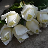 17" Cream White Real Touch RoseBuds, DIY Florals | Wedding/Home Decoration | Gifts, DIY Bouquets/Centerpieces