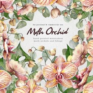 Moth Orchid and Foliage Hand-Painted Watercolour pack
