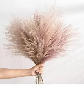 Pampas Grass Large Real Dried Reed Flower Bouquet Home Plants Table