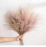 Pampas Grass Large Real Dried Reed Flower Bouquet Home Plants Table