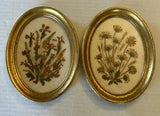 FRAMED WALL HANGINGS, Real Pressed Flowers in Gold-Toned (2)Oval Frames 6.5???