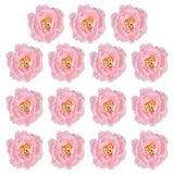 30Pcs Artificial Flower Head Fake Flowers Heads Bulk Silk Peony Heads Pink