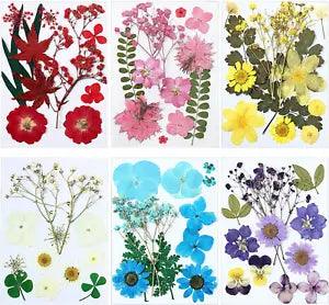 72 Pieces Real Dried Pressed Flowers Dried Flowers Leaves Set Mixed Multiple Dry