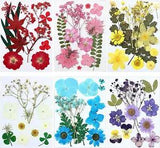 72 Pieces Real Dried Pressed Flowers Dried Flowers Leaves Set Mixed Multiple Dry