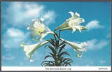 THE BERMUDA EASTER LILY Postcard Lili Perfume Factory Card No. 1