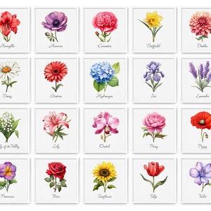 Flower Poster Set of 20 | Flower Types Poster | floral print | Living room flowers | Carnation, lavender, lily, orchid, rose, sunflower, tulip