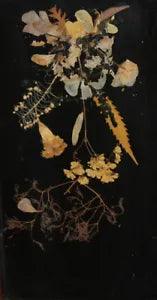 NEW LISTINGVintage wall decor dry flowers herbarium