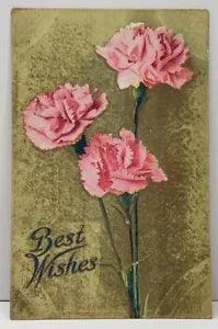 Best Wishes Pretty Pink Carnation Flowers 1909 Grand Valley Pa Postcard G18