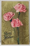 Best Wishes Pretty Pink Carnation Flowers 1909 Grand Valley Pa Postcard G18