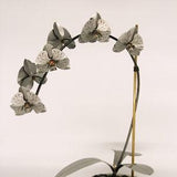 Orchid #1 Etched Stainless