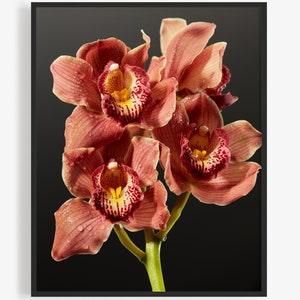 Flower Photography Print of Red Boat Orchid, Floral Photography Print. Valentine's Day Gift, Art for Gratitude. Wall art, Close up, Macro.