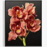 Flower Photography Print of Red Boat Orchid, Floral Photography Print. Valentine's Day Gift, Art for Gratitude. Wall art, Close up, Macro.