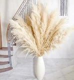 10pcs 40'' Pampas Grass Tall Decor - Pompas Floral, Tall Pampas Grass for