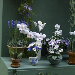 1/24th Moth Orchid Paper Flower Kit for 1/2??? scale Dollhouses, Florists and Miniature Gardens