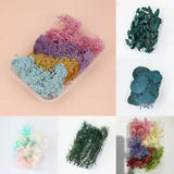 Mixed Dried Flowers Plants Epoxy UV Resin Craft Aromatherapy Candle DIY Crafts
