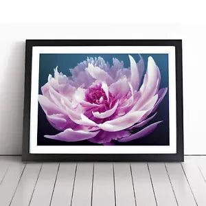 Unbelievable Peony Flower Framed Wall Art Poster Print Home Decor Picture Large