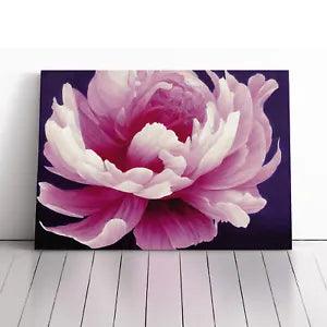 Framed peony flower canvas print with pink and white petals, large rectangular wall art