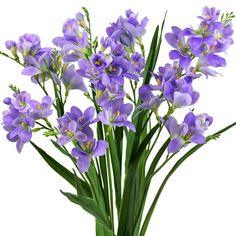 Real Touch Freesia (Purple ) Long Stem Artificial Flowers, Wedding, Home Decor,Arrangment 6 Stems Flower Delivery