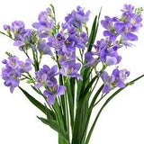 Real Touch Freesia (Purple ) Long Stem Artificial Flowers, Wedding, Home Decor,Arrangment 6 Stems Flower Delivery