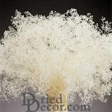 White Sparkle Stardust Gypsophila Babys Breath Single Bunch