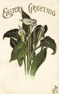 1900's Embossed Easter Postcard Gold Highlighted Calla Lilies UNDIVIDED E231