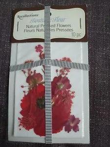 Recollections Natural Pressed Flowers 10 Pc