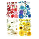 15pcs Real Dried Flower Natural Flower Stickers Dry Beauty For DIY Plants...