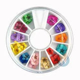 Art Accessories Real Dry Dried Flowers 12 Colors Bundle Set in Wheel Dried