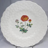 RANUNCULUS #1 by Copeland Spode Luncheon Plate 9" NEW NEVER USED made  England