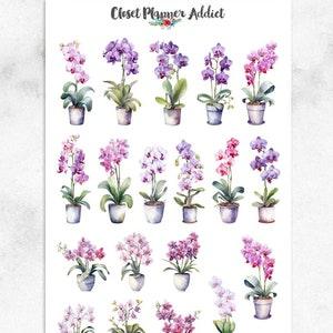 Watercolour Orchids Planner Stickers | Floral Stickers | Watercolour Florals | Potted Orchids Stickers | Plant Stickers (S-676)