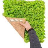 MOSS PANEL, PRESERVED Moss, Reindeer Moss, Handmade Moss Panel, Stabilized Light Green 50 x 50 Cm Scandinavian Lichen Set, Self Application