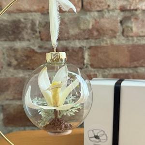 Cymbidium Orchid Flower Ornament