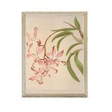 Vintage Orchid  Painting | Antique Plant Flower Artwork | Classic White Flower Poster | 19th Century Art Print | PRINTABLE art