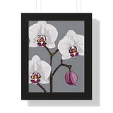 Orchid lovers Framed Vertical Poster