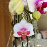 White Orchid Earring, White and Pink Flower Earring, Plant Jewelry, Resin Flower Earring, Orchid Gift, Floral Earring, Phalaenopsis Orchid