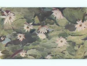 NEW LISTING1953 postcard WHITE WATER LILY FLOWERS : make an offer k4762