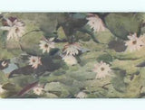 NEW LISTING1953 postcard WHITE WATER LILY FLOWERS : make an offer k4762