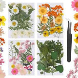 Pressed Dried Flowers for Resin, Mixed Multiple Natural Daisy Flowers Leaves, Fl